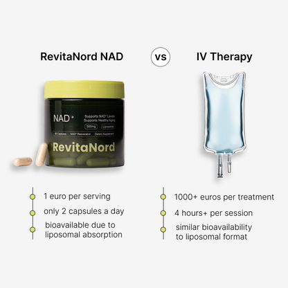 Revitanord NAD+